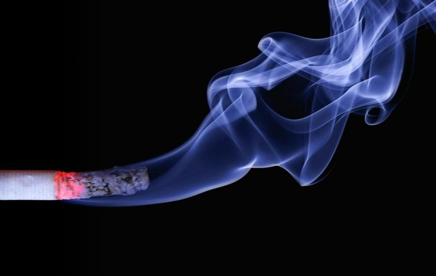 Health effects of harmful lifestyle habits programme